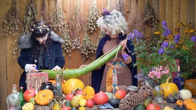 Magical Plants in the Witches’ Garden: The Glasshouse смотреть онлайн