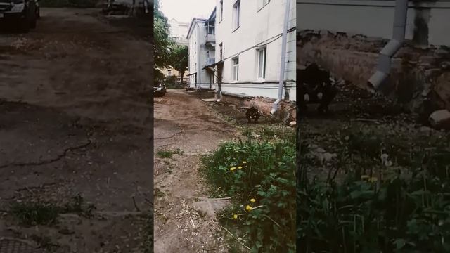эндермен в реальной жизни смотреть онлайн
