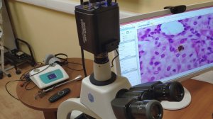 Обзор функционала 4K камеры ToupCam XCAM4K8MPA микроскопа и телескопа, изображение по Wi-Fi, GE LAN