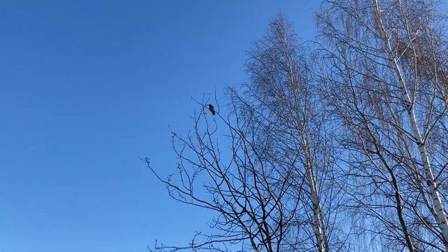 Чтоб сделать заказ, мне нужно умудриться попасть в магаз без кода смотреть онлайн