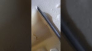 как снять задний диван на рено меган 4(2)