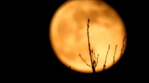 Луна движется по небу быстро