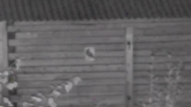 Цифровой ПНВ. С подсветкой и без... смотреть онлайн