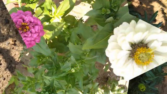 27 июля 2021 г. смотреть онлайн