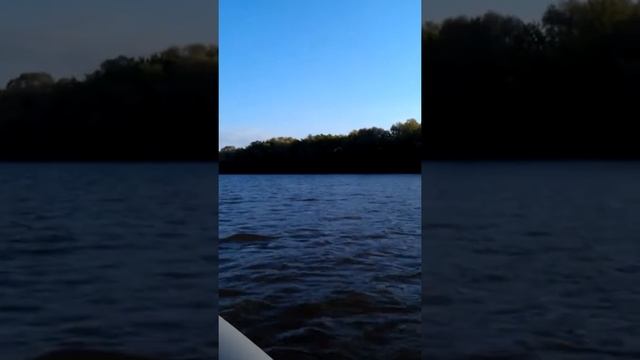 Лодка CatFish 310+Jet5BMS смотреть онлайн