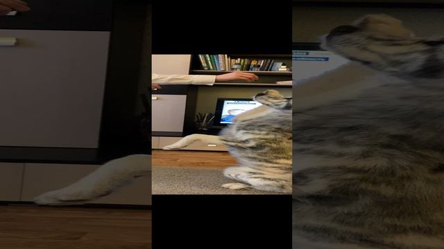 Послушка смотреть онлайн