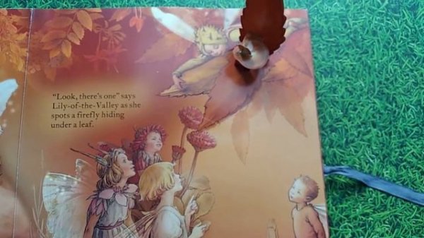 Flower Fairies Magical Moonlight Feast by Cicely Mary Barker