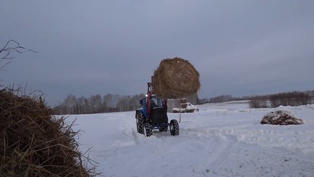 #136: А че это вы тут делаете?) смотреть онлайн