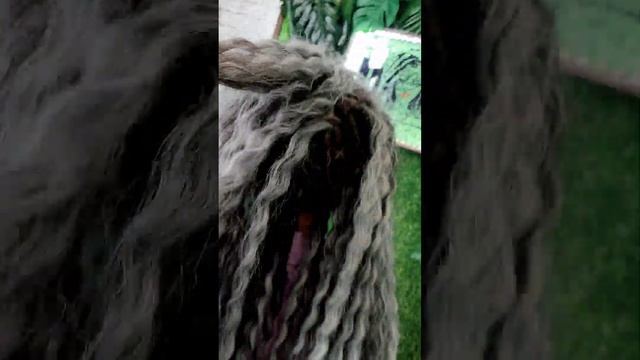 #дредокудри #дредолоконы #кудри #кудриариэль #афрокудри #curlyhair #curls смотреть онлайн