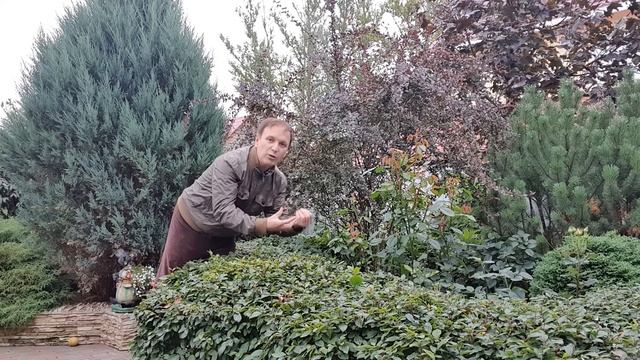 Подготовка сада к зиме смотреть онлайн