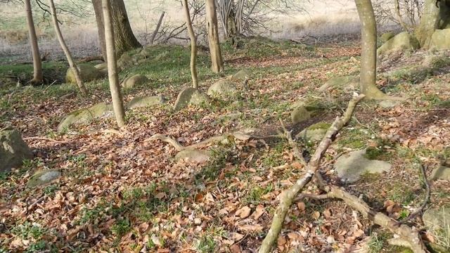 Abbetved Langdysse смотреть онлайн