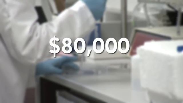 Envision Documentary: The Incredible Shrinking Middle Class смотреть онлайн