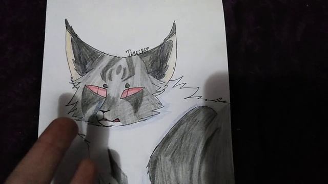 Мои Рисунки Котов Воителей || Обзор Скетчбука || ЧИТАТЬ ОПИСАНИЕ смотреть онлайн