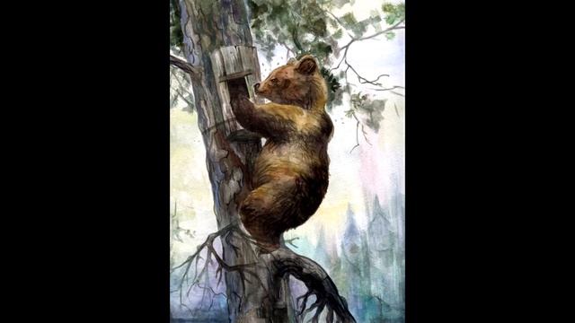 Медведь и пчёлы (Башкирская сказка) смотреть онлайн