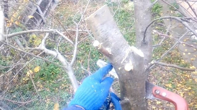 ОБРЕЗКА запущенной яблони. КАК ОБРЕЗАТЬ ЯБЛОНЮ. смотреть онлайн