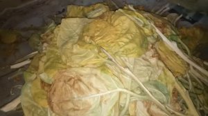 О томлении махорки.