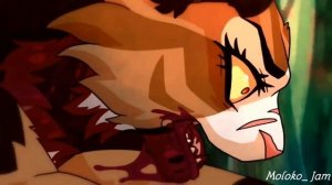 Коты воители ~ MANRO - розы [клип]