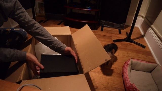 DALI SPEKTOR 2 unboxing. смотреть онлайн
