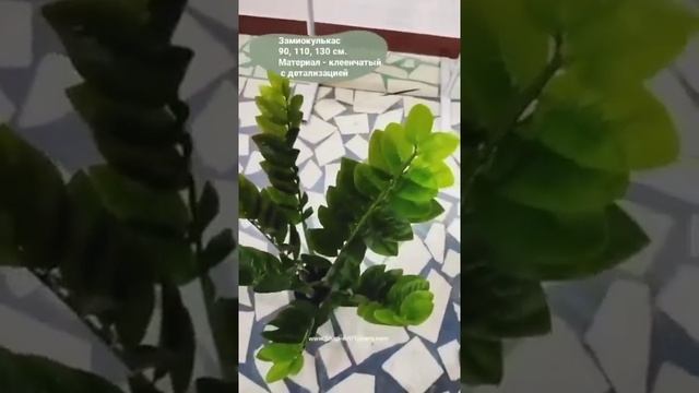 Замиокулькас искусственный | денежное дерево смотреть онлайн