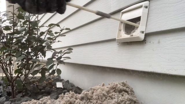 Lots of lint смотреть онлайн