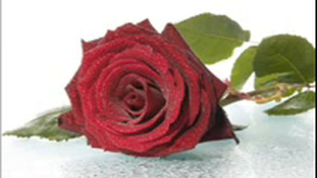 Довольно сука макияжа- Ваня Воробьёв смотреть онлайн