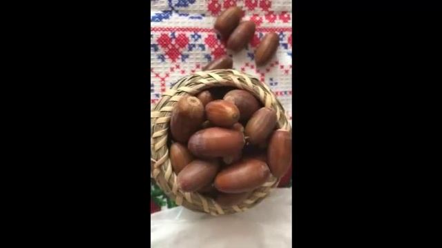 Как вырастить дуб смотреть онлайн