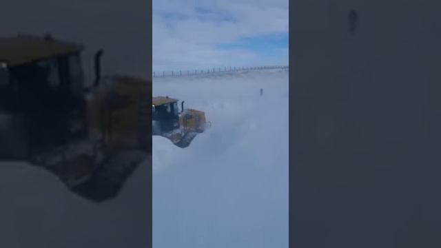 Граница с Казахстаном смотреть онлайн