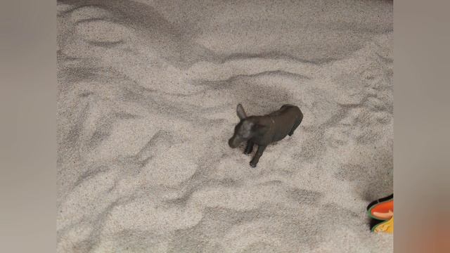  смотреть онлайн