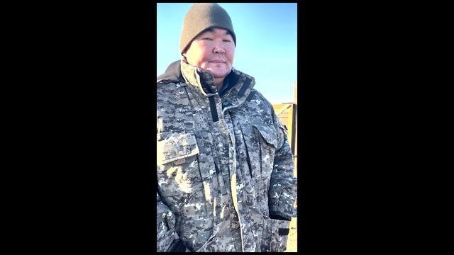 красота шок внимание травма опасно Калмыкия Лошади тяжеловозы!!!!!!!!!!! смотреть онлайн