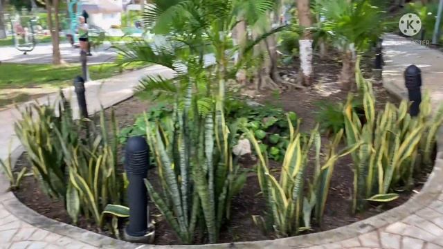 Мексиканские будни