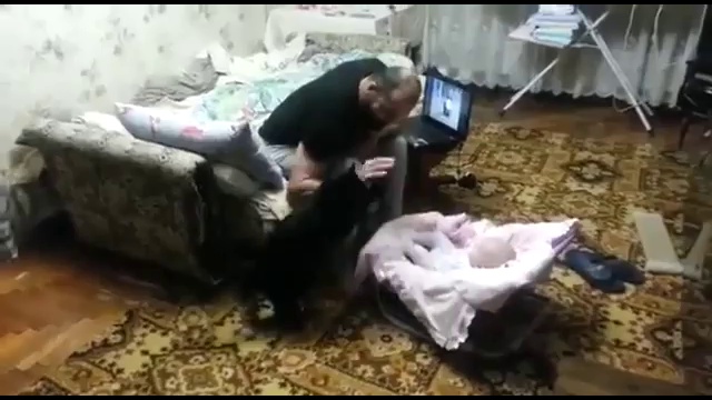 Кот защищает ребенка смотреть онлайн