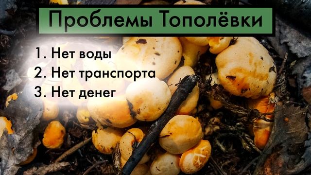 Какие проблемы есть в Тополёвке и как их решить? смотреть онлайн