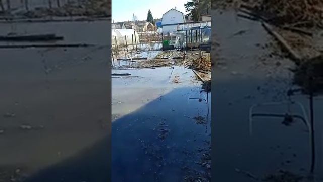 Вода с тающего снегоотвала смывает почву на дачах в "Чайке" в Бердске смотреть онлайн