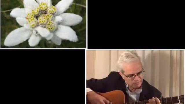 Edelweiss - Sonrisas y lágrimas - guitarra - Antonio Salinas смотреть онлайн
