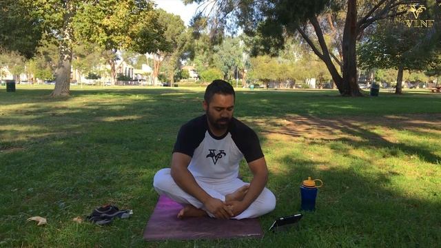 Stretching: Hand In Hand With Muscle Building - Day 235 of 365 смотреть онлайн