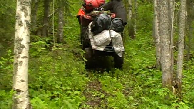 В гору с прицепом 2.MOD смотреть онлайн