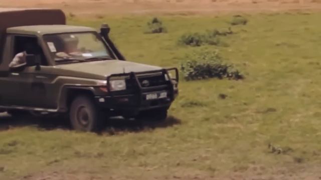 Mann rettet ertrinkendes Elefantenbaby, dann tut die Herde etwas Unerwartetes смотреть онлайн