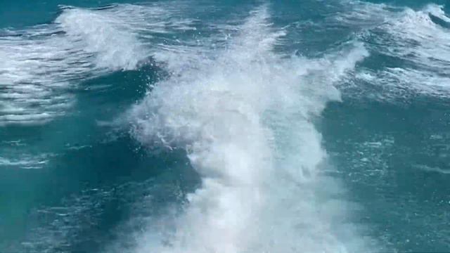Turneffe, Belize смотреть онлайн