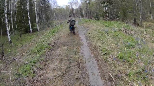 Избушка в тайге, поездка по бездорожью, обзор и хитрости при строительстве. смотреть онлайн