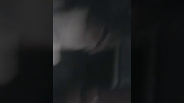 Красивая киска. смотреть онлайн