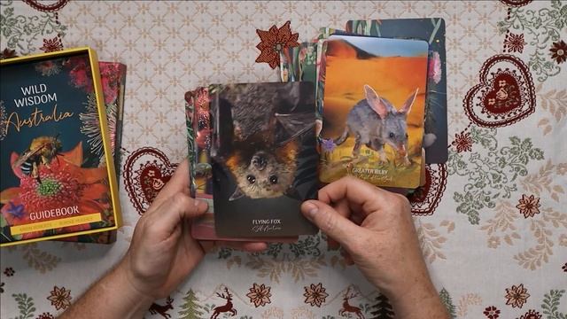 Wild Wisdom Australia Oracle - What to do with Deck Number 2? смотреть онлайн