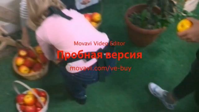 ДЕНЬ РОЖДЕНИЯ ДИАНЫ! Идём в Киндерленд Доим КОРОВУ ловим ВОРА видео для детей смотреть онлайн