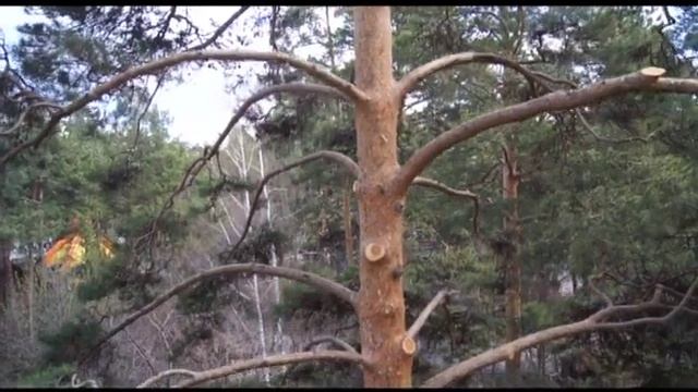 НОВОКУЗНЕЦК-НОВОСИБИРСК