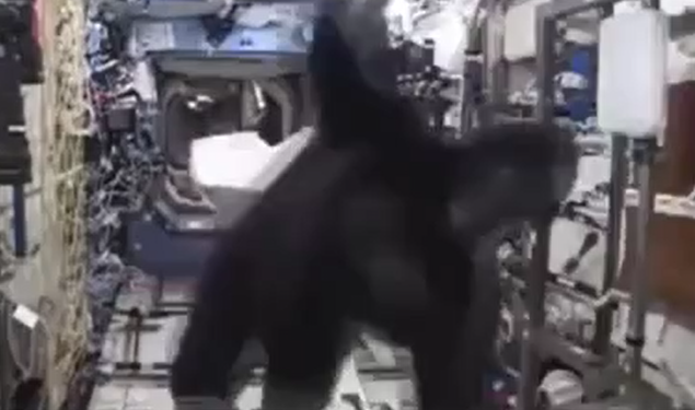 Космическая горилла пранкер смотреть онлайн