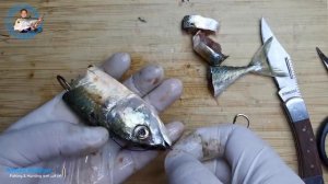 ПРОСТАЯ УЛОВИСТАЯ СНАСТОЧКА  МЁРТВАЯ РЫБКА  САМАЯ УЛОВИСТАЯ СНАСТЬ НА ХИЩНИКА mp4