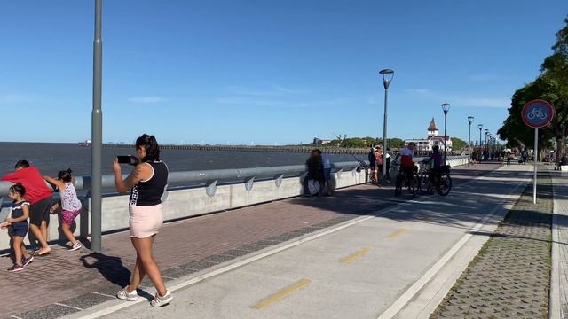 【4K】WALK Costanera Norte BA BUENOS AIRES Argentina 4k video смотреть онлайн