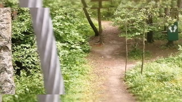 Канатный Парк/Солнечногорск /09.06.2021г смотреть онлайн