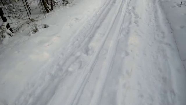 В лесу 24.01.16г. Джулия, ЖБ Бавария, ЖБ Интрига(3) смотреть онлайн
