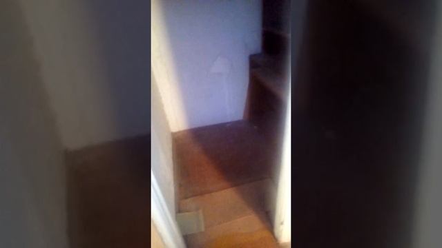 VID 20181008 171612 смотреть онлайн