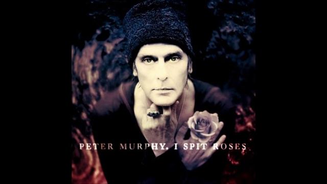 Peter Murphy - The Prince & Old Lady shade смотреть онлайн